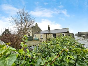 Photo 7- click for photo gallery